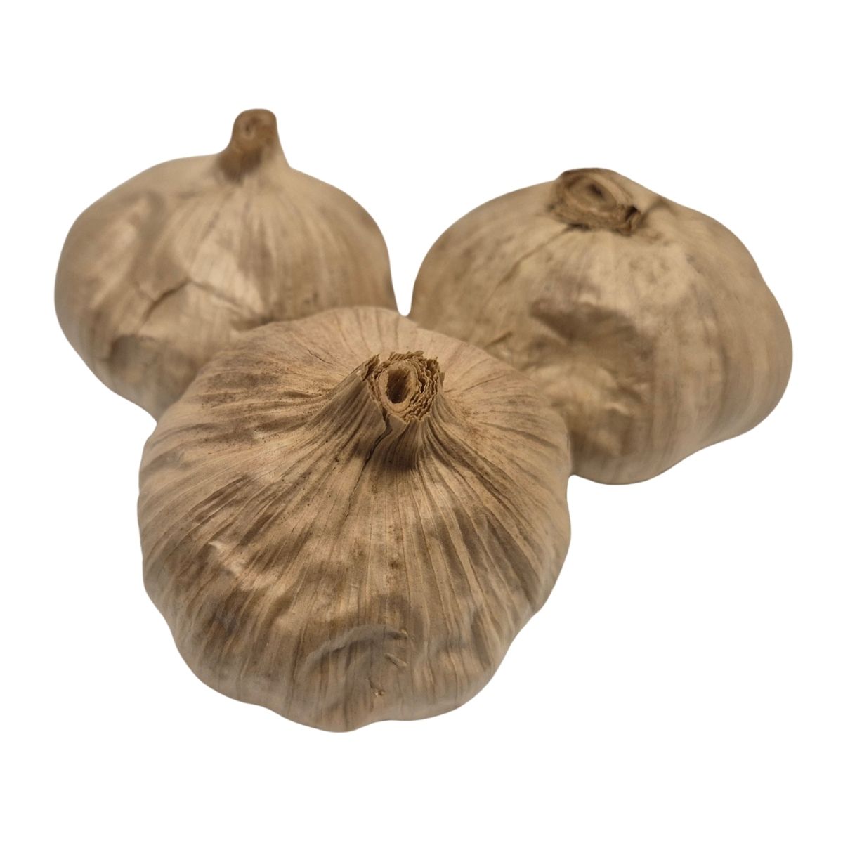 Schwarzer Knoblauch Knolle