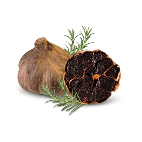 Schwarzer Knoblauch Knolle